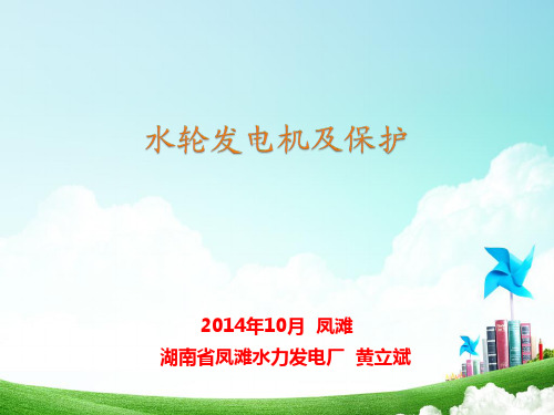 水轮发电机及保护