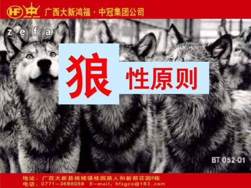 狼性原则