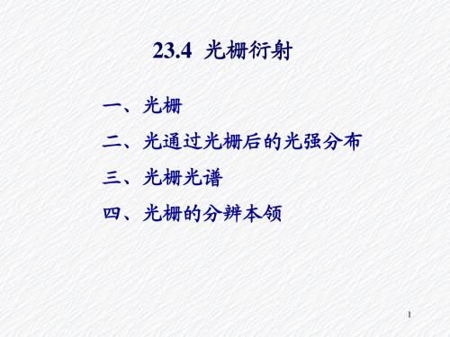 23光的衍射-2
