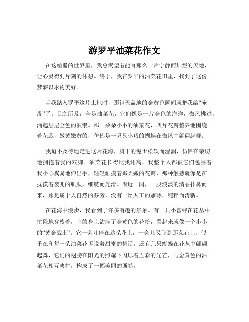 游罗平油菜花作文