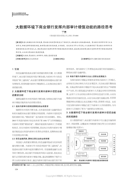 210987238_大数据环境下商业银行发挥内部审计增值功能的路径思考