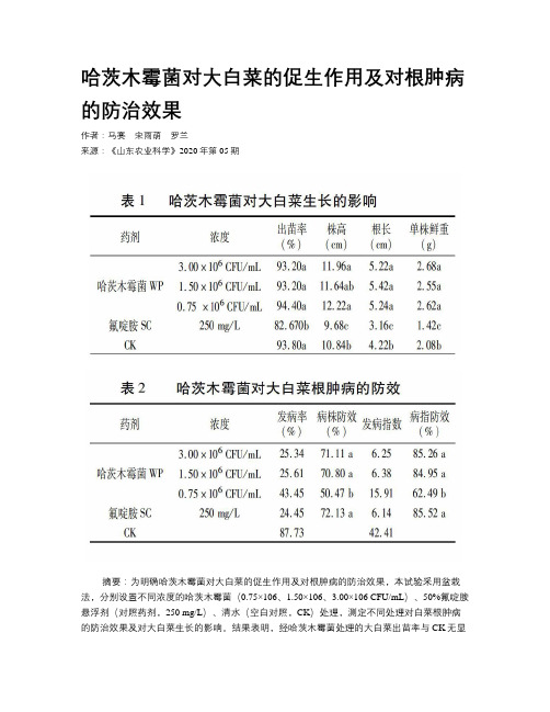 哈茨木霉菌对大白菜的促生作用及对根肿病的防治效果