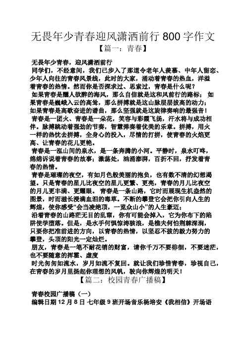 青春作文之无畏年少青春迎风潇洒前行800字作文