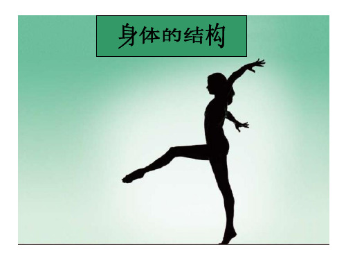 《身体的结构》ppt课件