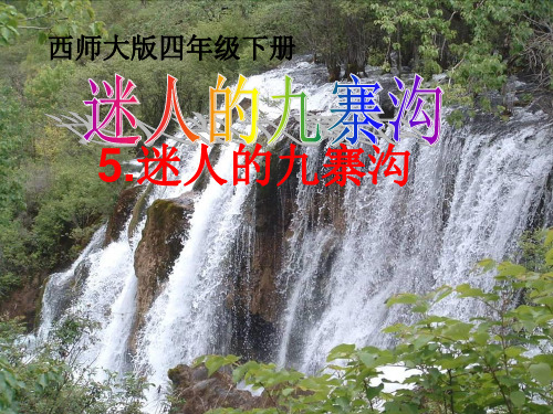 462第5课《迷人的九寨沟》PPT课件
