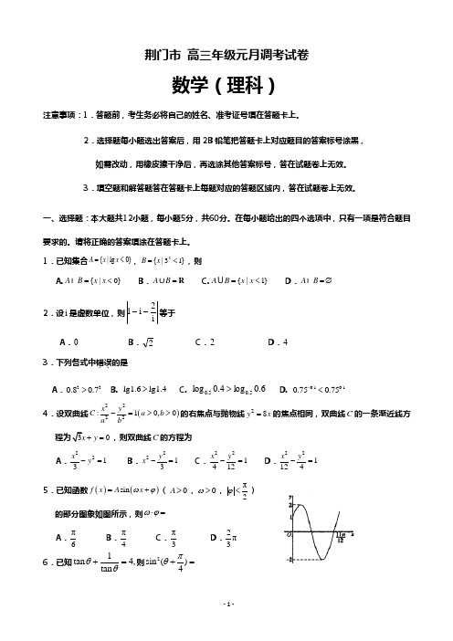 湖北省荆门市高三元月调考数学(理)试题