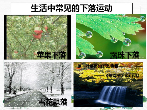 新版人教版高一物理必修1 2.5自由落体运动(共19张PPT)学习PPT