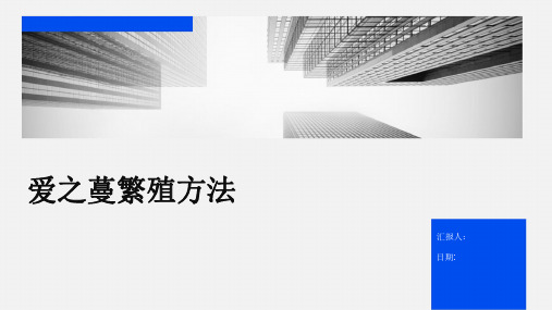 爱之蔓繁殖方法