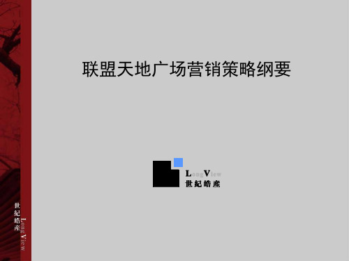 联盟天地广场营销方案.pptx