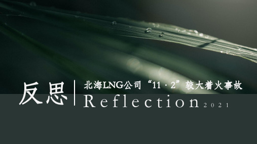 【反思】北海LNG公司11.2较大着火事故