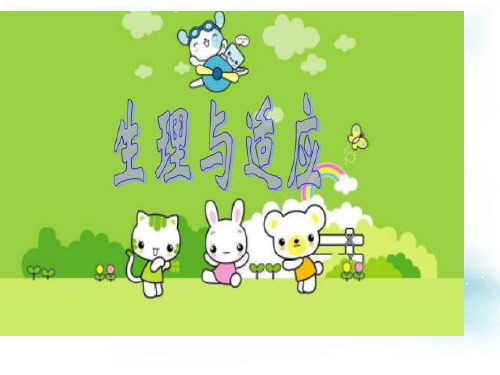 冀人版六年级科学下册《奇妙的人体  7 循环与运输》课件_34