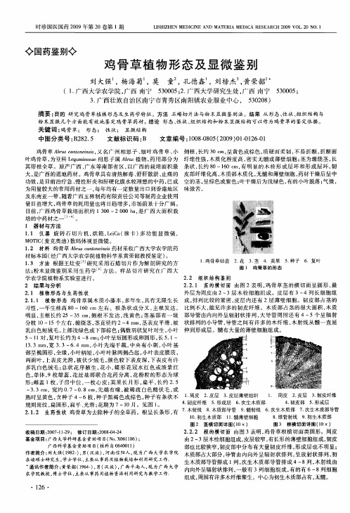 鸡骨草植物形态及显微鉴别