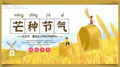 黄色小清新二十四节气芒种介绍宣传PPT课件