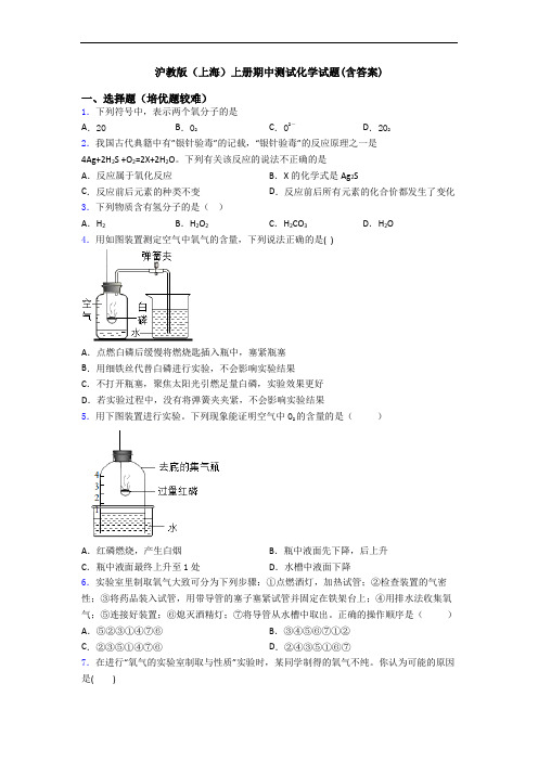 沪教版(上海)上册期中测试化学试题(含答案)