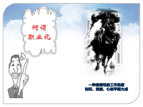职业化十二度修炼