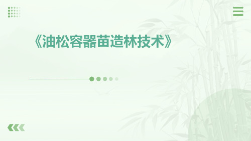 油松容器苗造林技术