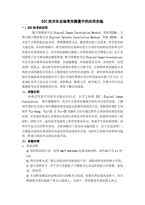 DIC实验报告范例