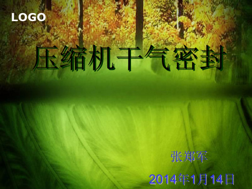 干气密封