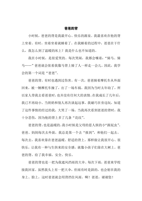 爸爸的背