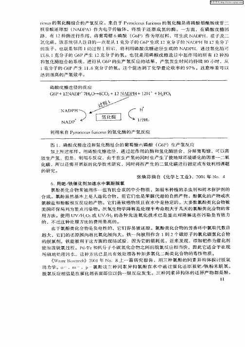 用钯／铁催化剂加速水中氯酚脱氯污水