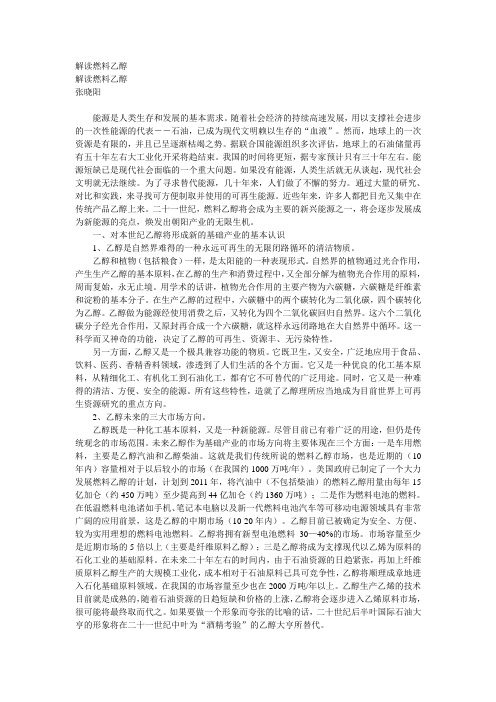 解读燃料乙醇