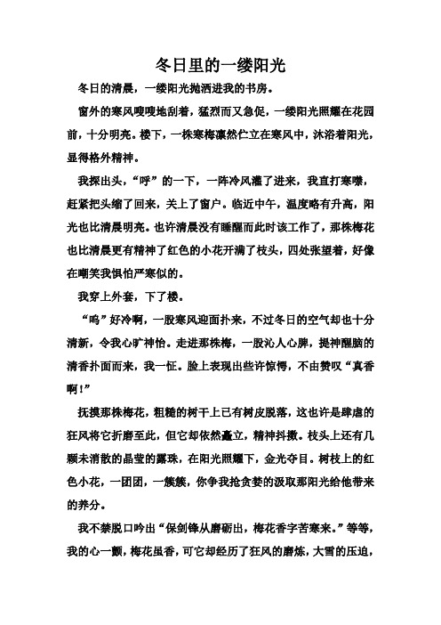 冬日里的一缕阳光