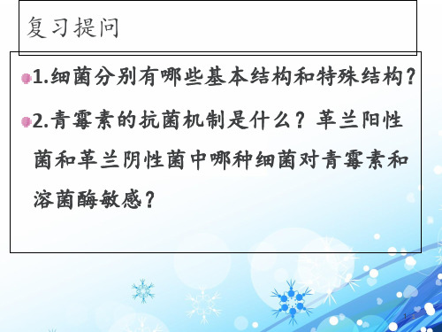细菌的生长繁殖与代谢  ppt课件