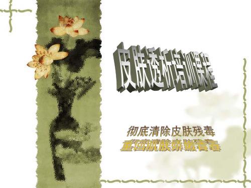 皮肤透析