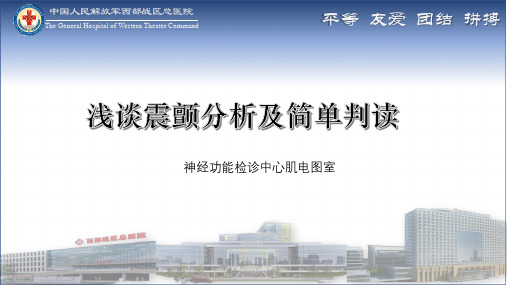 震颤分析及简单判读