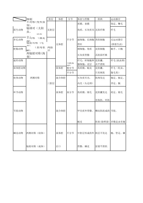 无脊椎动物比较
