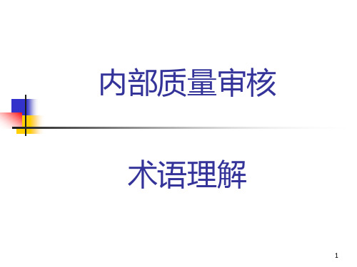 内部稽核术语理解PPT课件