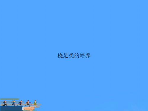 【优】桡足类的培养优选PPT