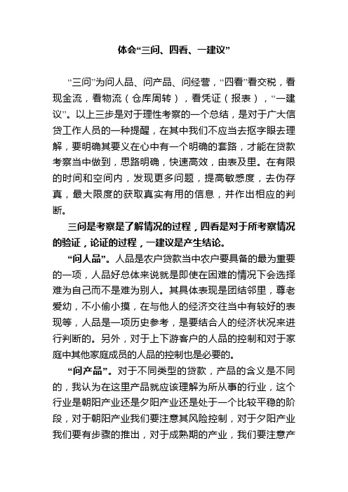 对于“三问、四看、一建议”的理解(贷款考察)