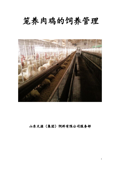 笼养肉鸡的饲养管理及疾病防控技术.