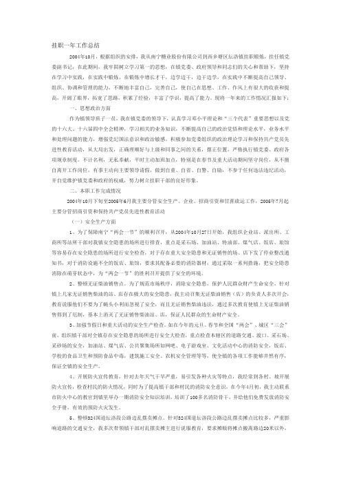 挂职一年工作总结