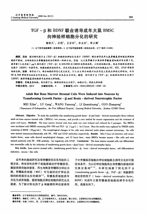 TGF—β和BDNF联合诱导成年大鼠BMSC向神经样细胞分化的研究