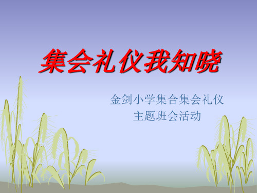 集合集会礼仪