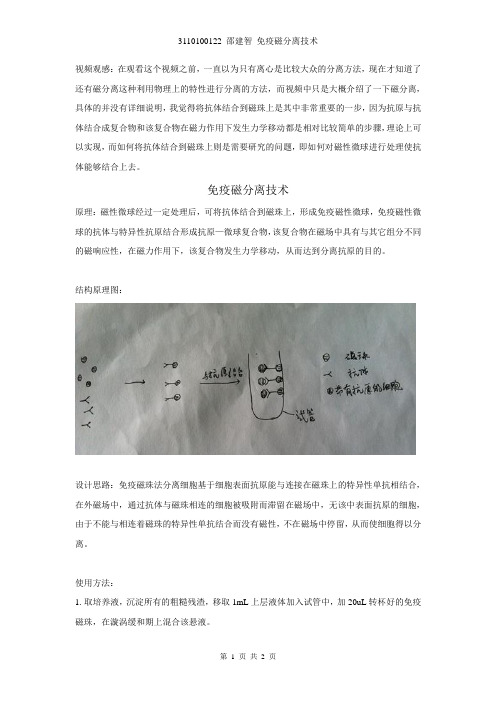 生物传感器-磁分离-3110100122-邵建智