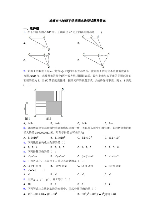 株洲市七年级下学期期末数学试题及答案