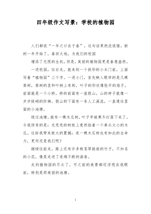 四年级作文写景：学校的植物园