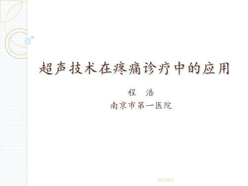 超声引导下的疼痛治疗-程浩