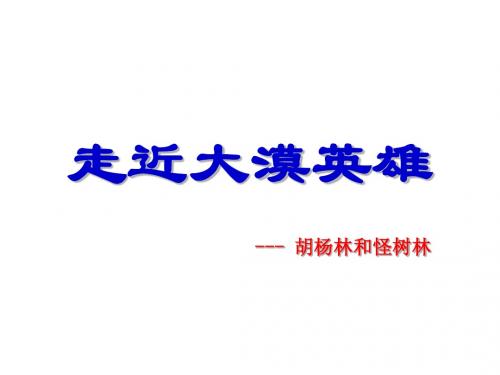 走近大漠英雄胡杨林和怪树林