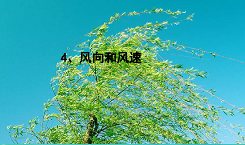 最新教科版小学四年级科学上册科教版四上《风向和风速》课件(1)