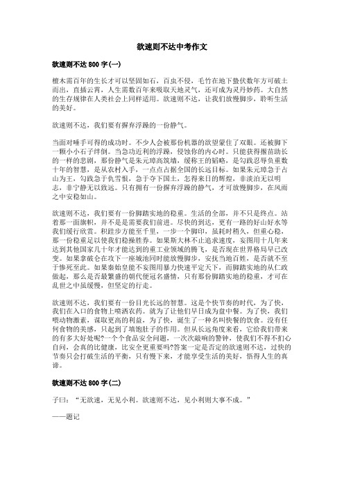 欲速则不达中考作文