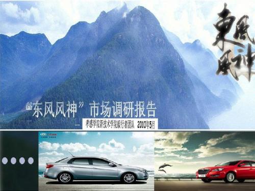 某汽车市场调研报告PPT课件( 51页)