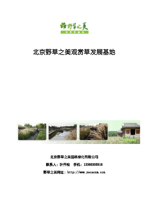 北京野草之美观赏草介绍1207