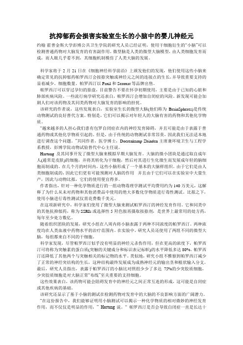 抗抑郁药会损害实验室生长的小脑中的婴儿神经元