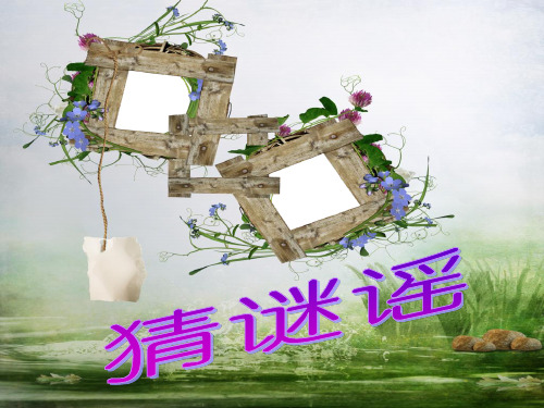 二年级上册音乐课件猜谜谣｜接力版 (共7张PPT)
