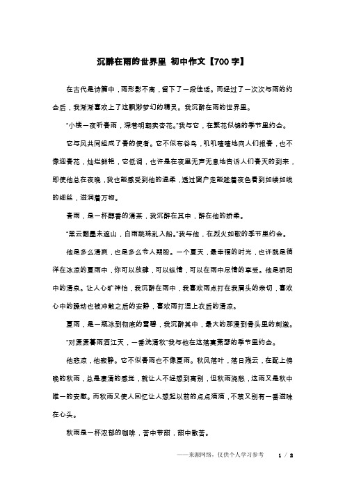 沉醉在雨的世界里 初中作文【700字】