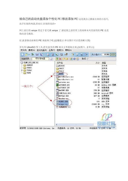 PE个性化修改